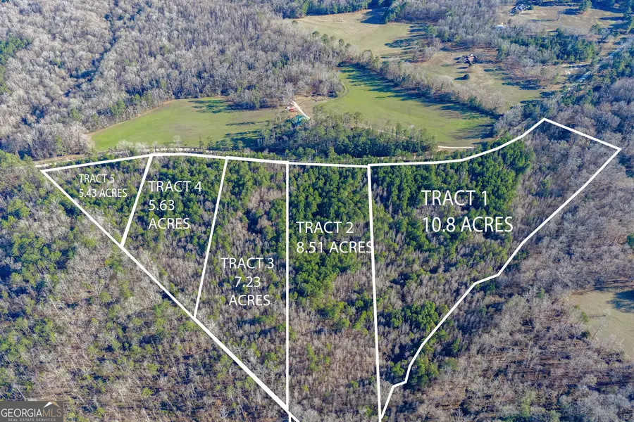 TRACT 2 Dunbar School Road, Williamson, GA 30292 - Image #3