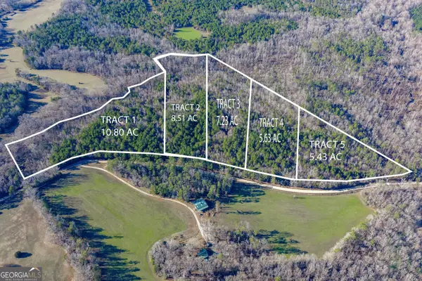 TRACT 3 Dunbar School Road, Williamson, GA 30292