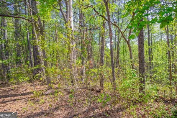 0 Lake Esther Drive #LOT 1, Fairburn, GA 30213