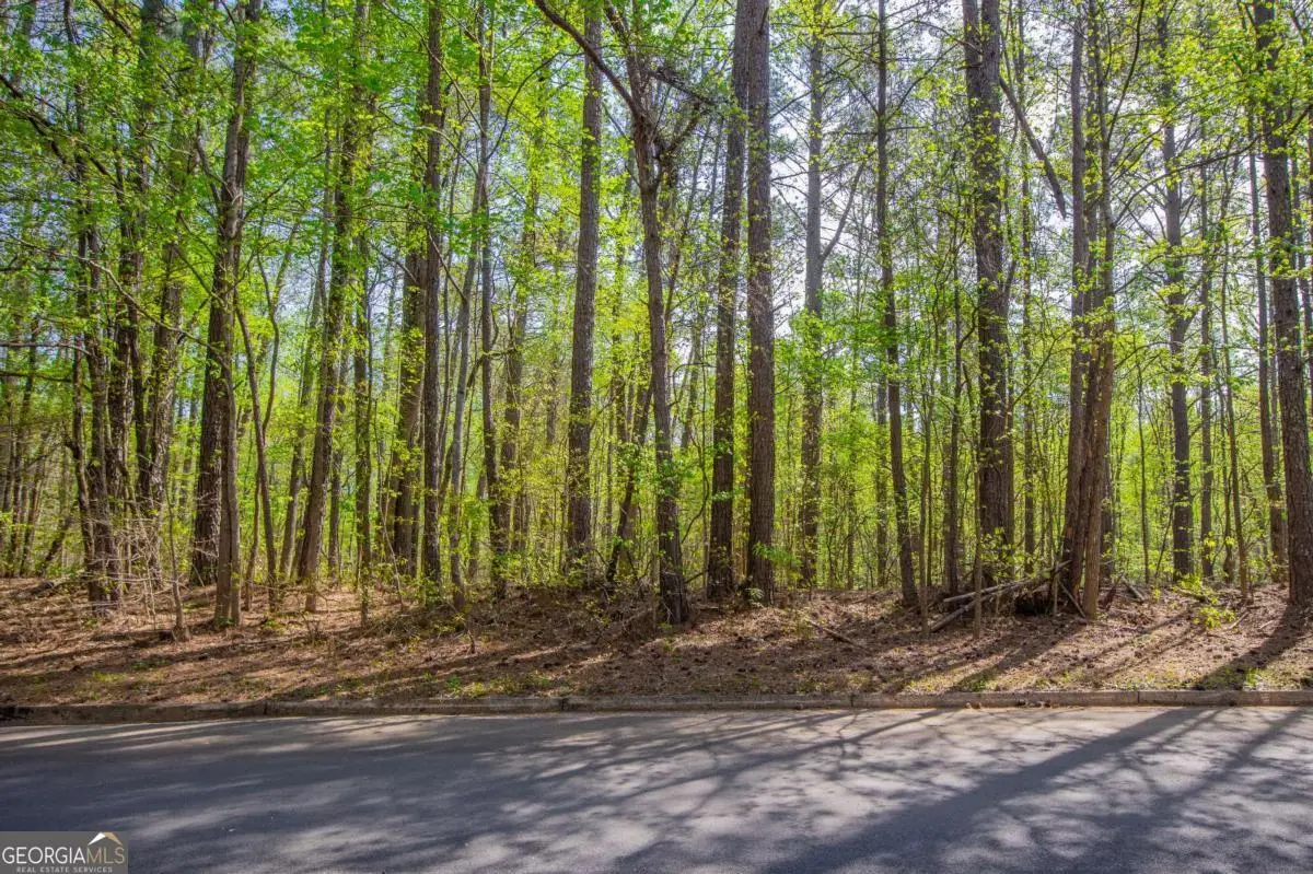 0 Lake Esther Drive #LOT 2, Fairburn, GA 30213 - Image #1