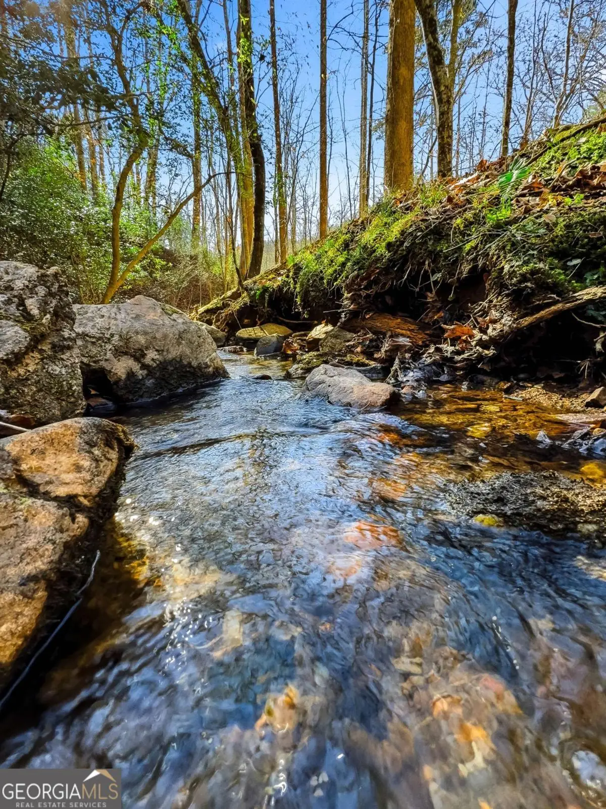 0 Captain Mcdonald Rd, Dahlonega, GA 30533 - Image #1