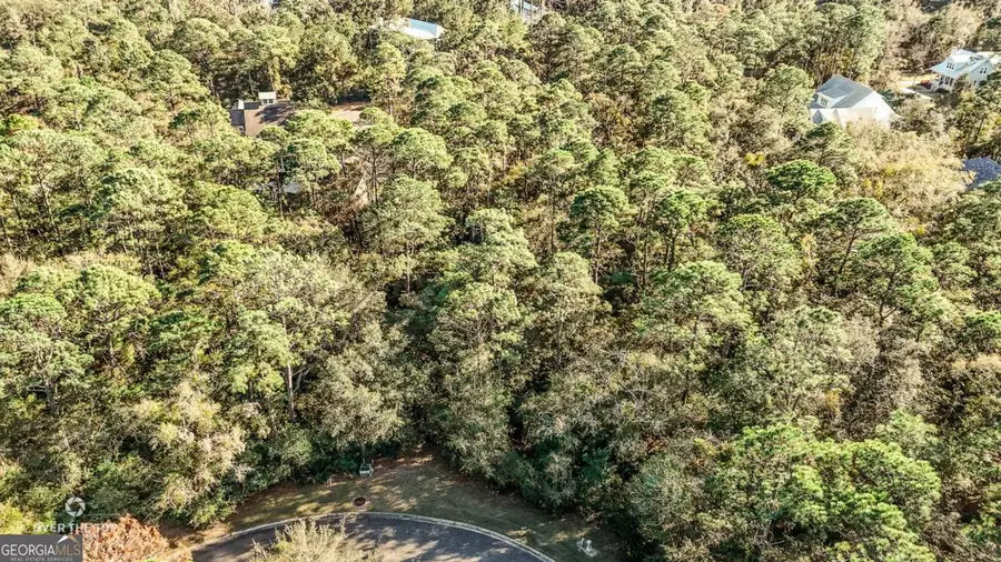 V/L 394 Bonito Loop, Saint Marys, GA 31558 - Image #2