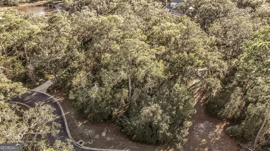 V/L 593 Tattnal Lane, Saint Marys, GA 31558 - Image #3