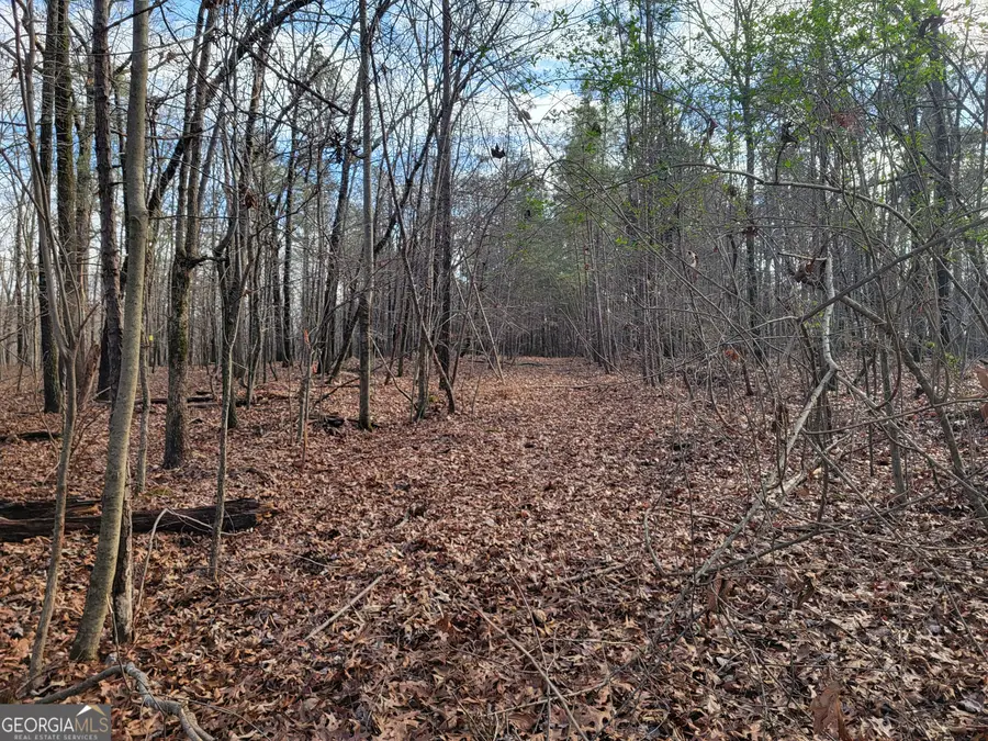 0 Rocky Hollow Rd, Summerville, GA 30747 - Image #3