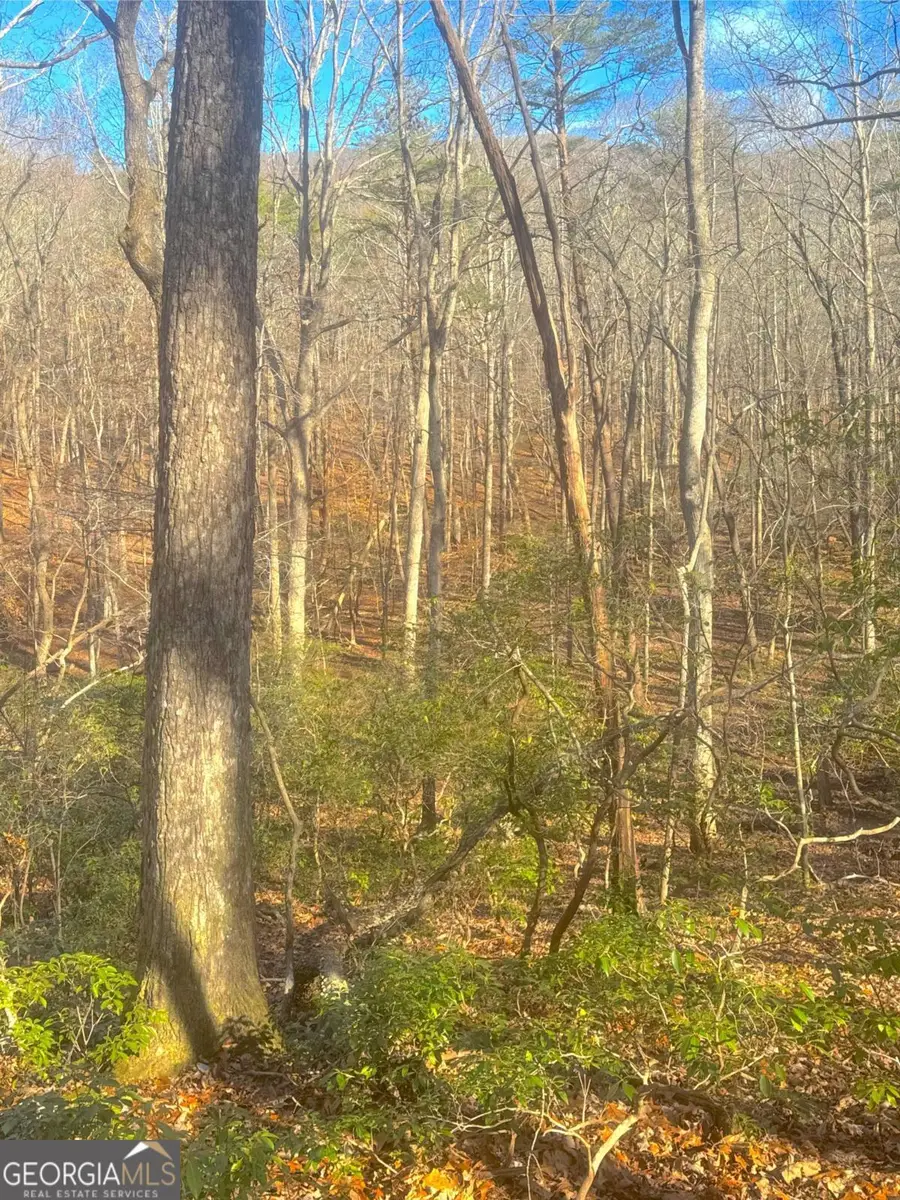 0 Crooked Creek, Jasper, GA 30143 - Image #2