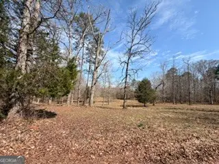 486 Walthall Road, Jackson, GA 30233 - #2