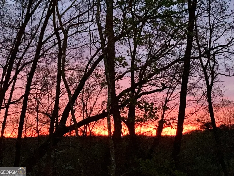 110 Planters Knoll, Banks, GA 30511 - Image #2