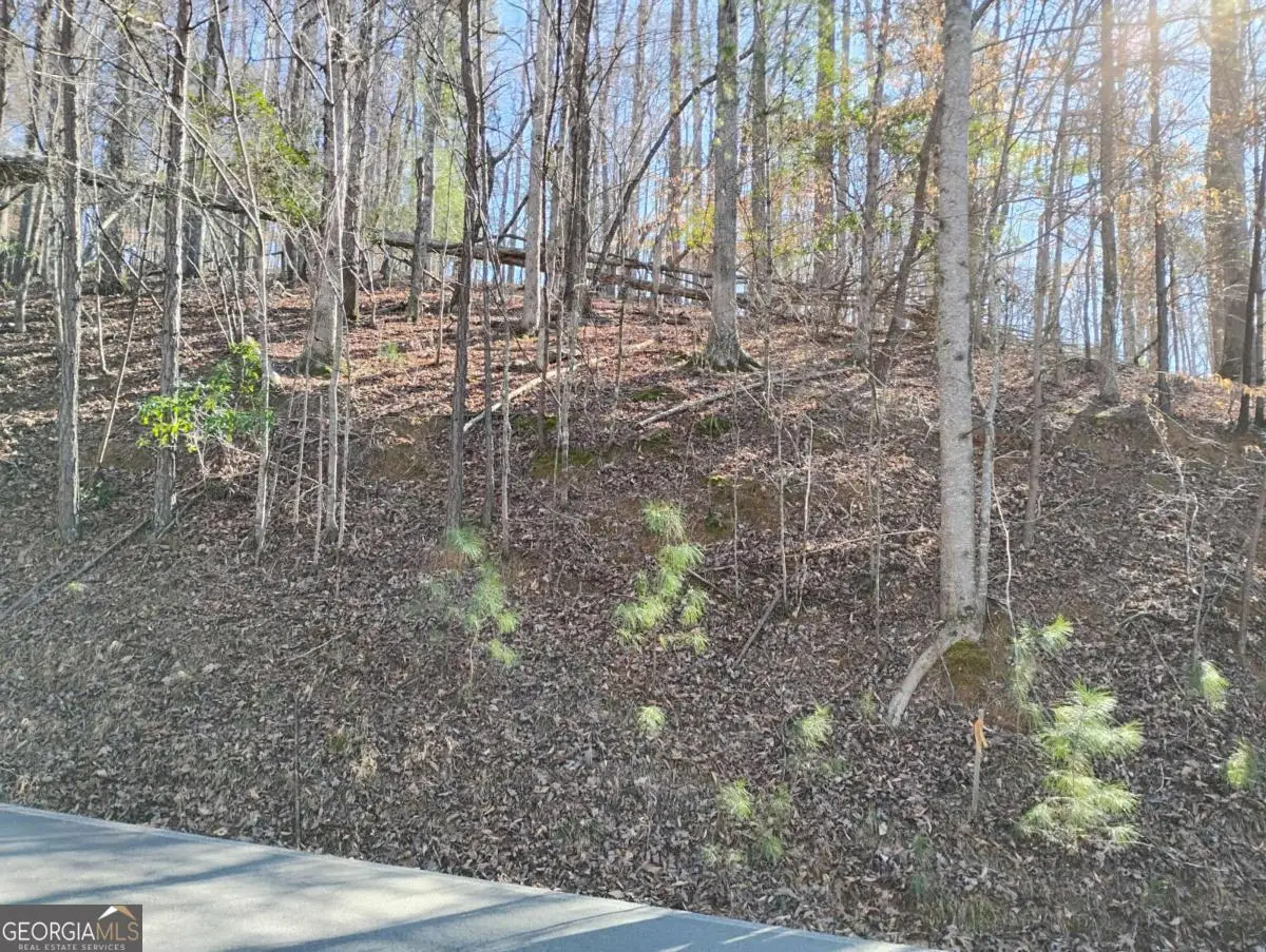 LT 2090R Newport Drive #2090R, Ellijay, GA 30540 - #1