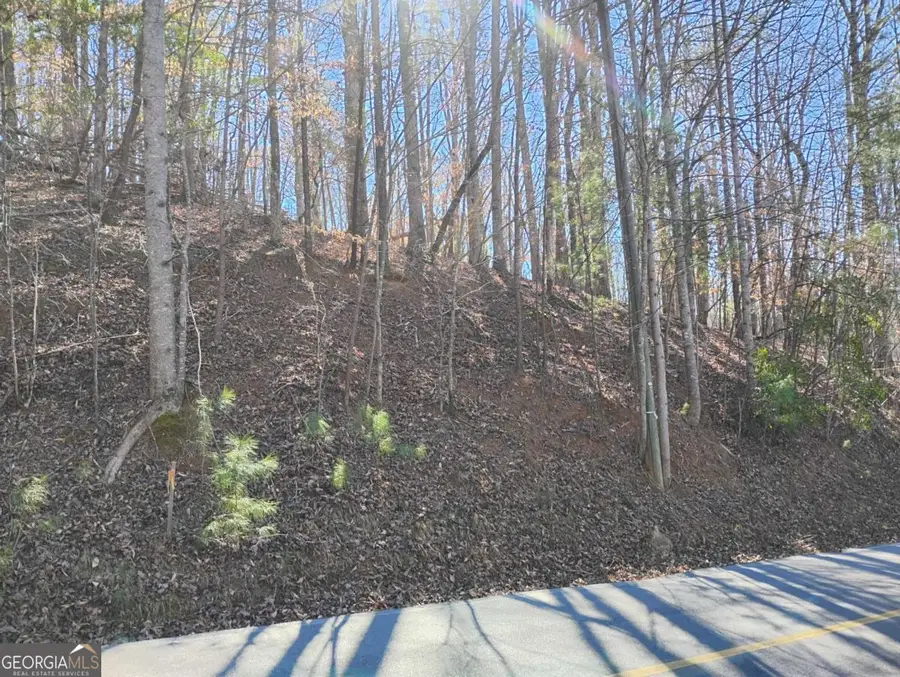 LT 2090R Newport Drive #2090R, Ellijay, GA 30540 - #2