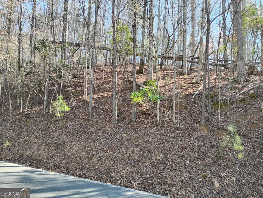 LT 2090R Newport Drive #2090R, Ellijay, GA 30540 - #3