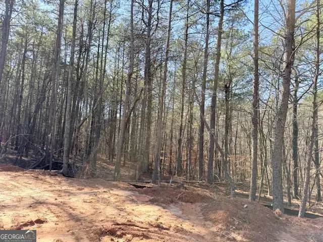 2121 Highway 101 N, Dallas, GA 30157 - #2