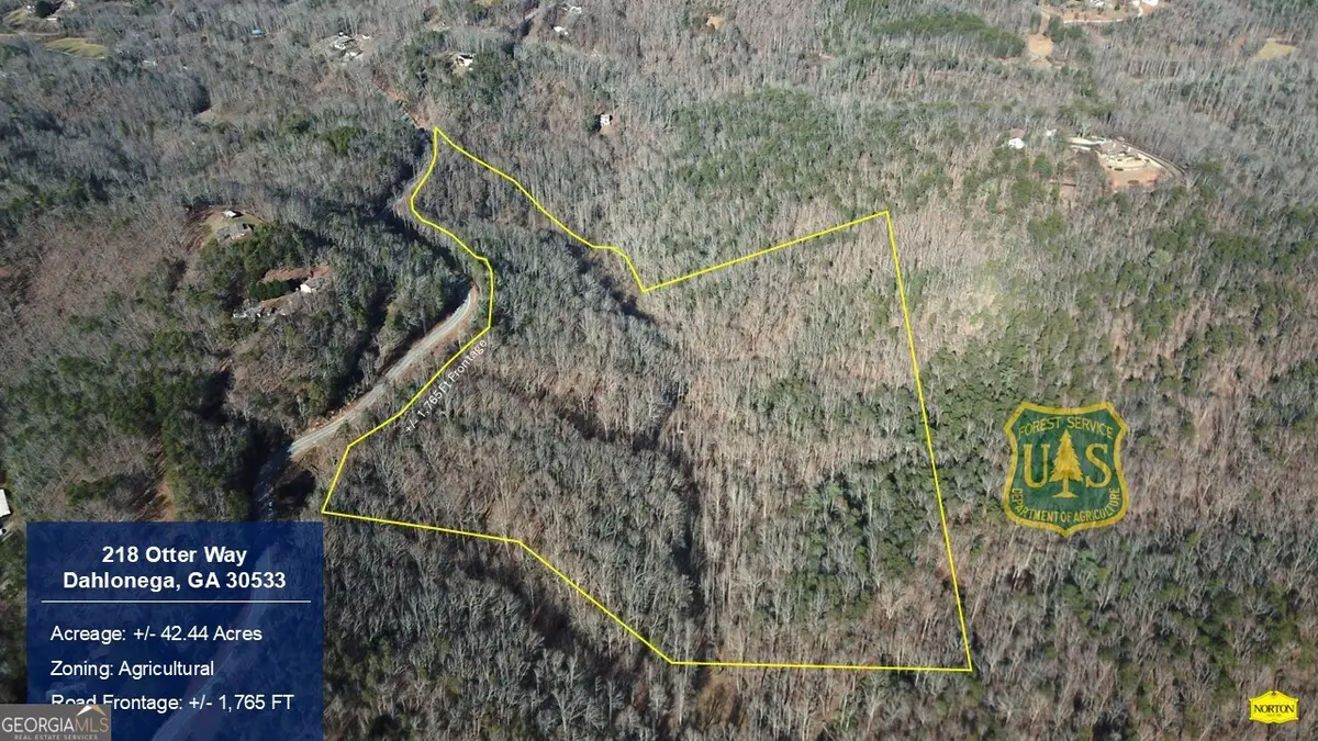 218 Otter Way, Dahlonega, GA 30533 - Image #1