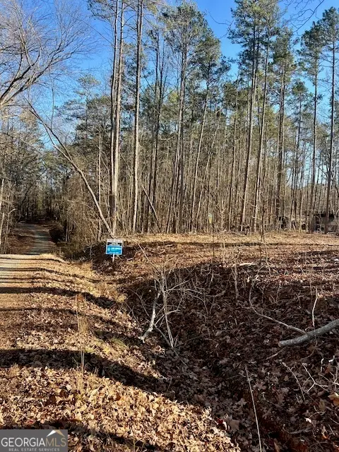 139 Fairlane, Martin, GA 30557 - Image #1