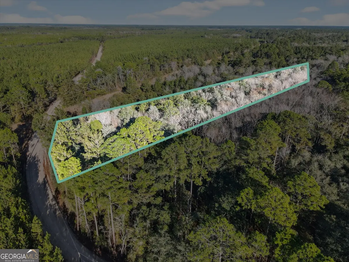 0 Beautiful Zion Cemetary Road, Pembroke, GA 31321 - Image #1