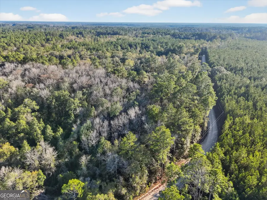 0 Beautiful Zion Cemetary Road, Pembroke, GA 31321 - Image #2