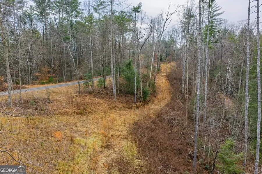 TRACT A Hicks Ford Road, Ellijay, GA 30540 - #3