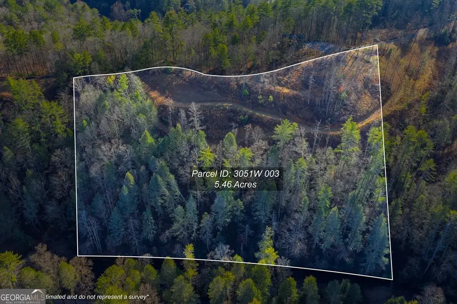 TRACT B Hicks Ford Road, Ellijay, GA 30540 - #3