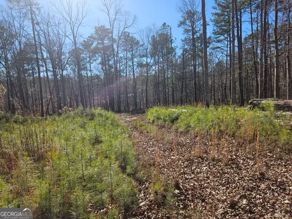 0 Glenn Road Ne, Conyers, GA 30013