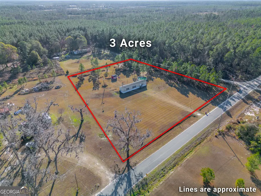 877 Leland Smith Road, Homerville, GA 31634 - Image #2