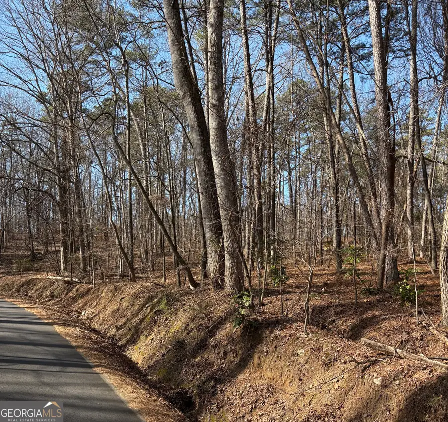 0 Radio Springs Road, Rome, GA 30165 - #3