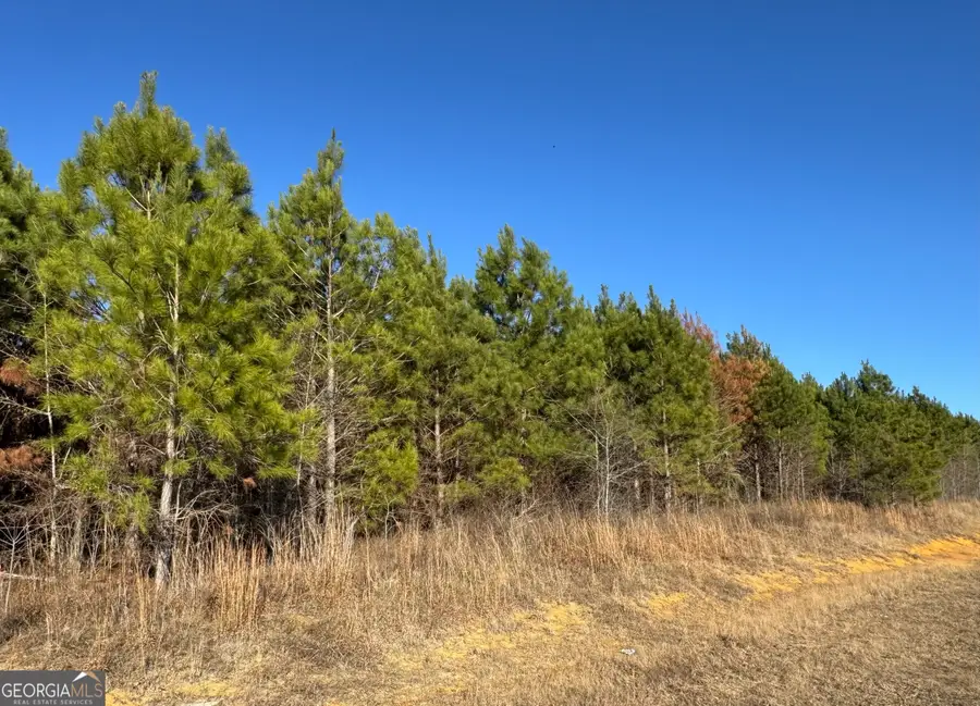LOT 6 Whitfield Road, Elko, GA 31025 - #3