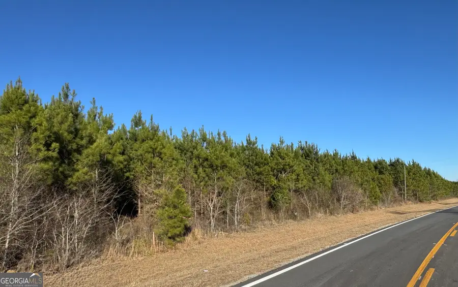 LOT 2A Whitfield Road, Elko, GA 31025 - Image #2