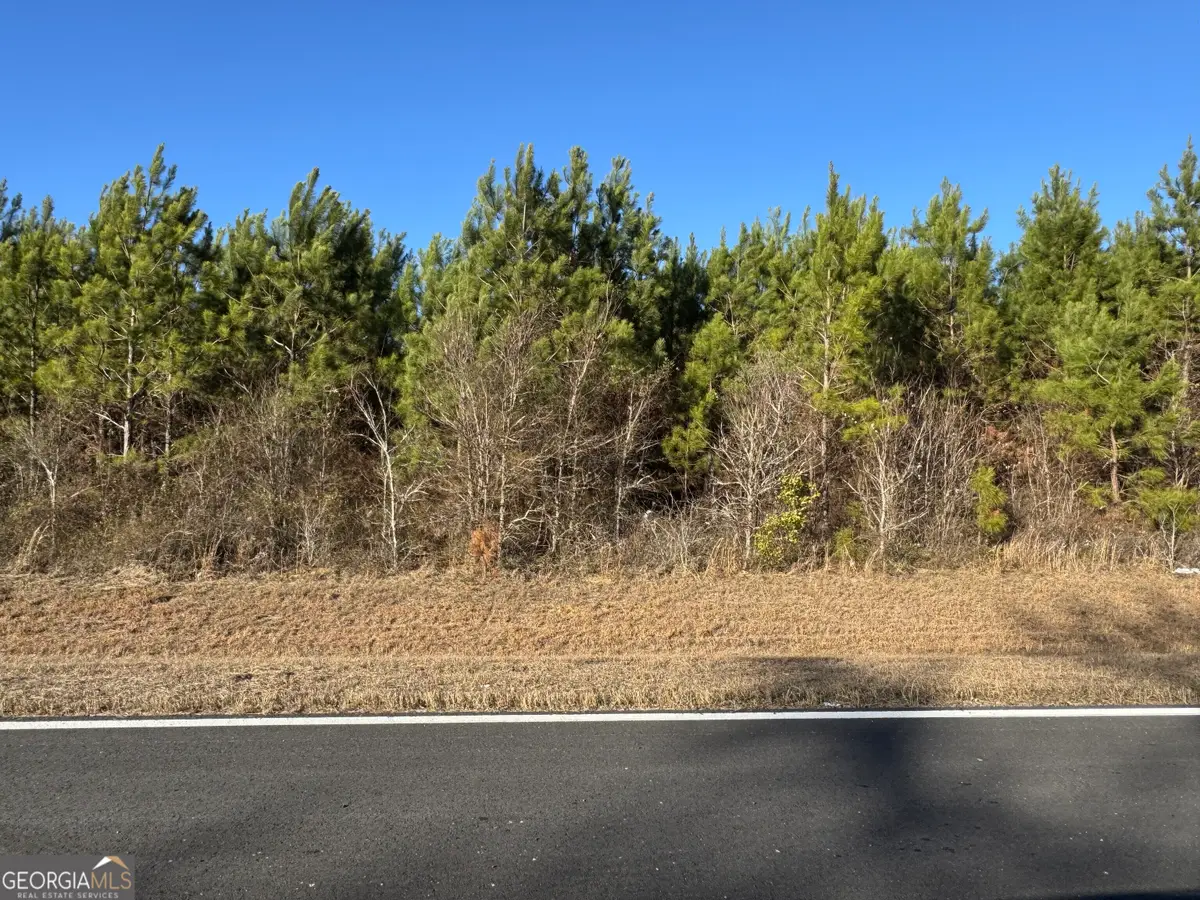 LOT 3A Whitfield Road, Elko, GA 31025 - Image #1