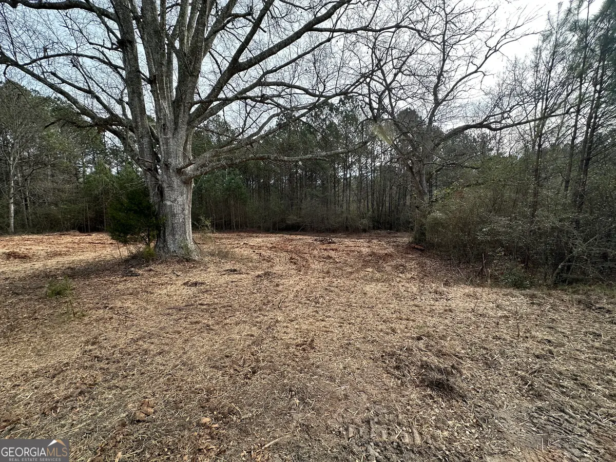 0 Victory Road #LOT 1, Franklin, GA 30217 - Image #1