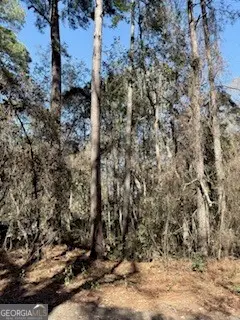 28 Deer Trail Lane, Midway, GA 31320 - Image #1