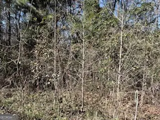 152-155 Dogwood Lane, Midway, GA 31320