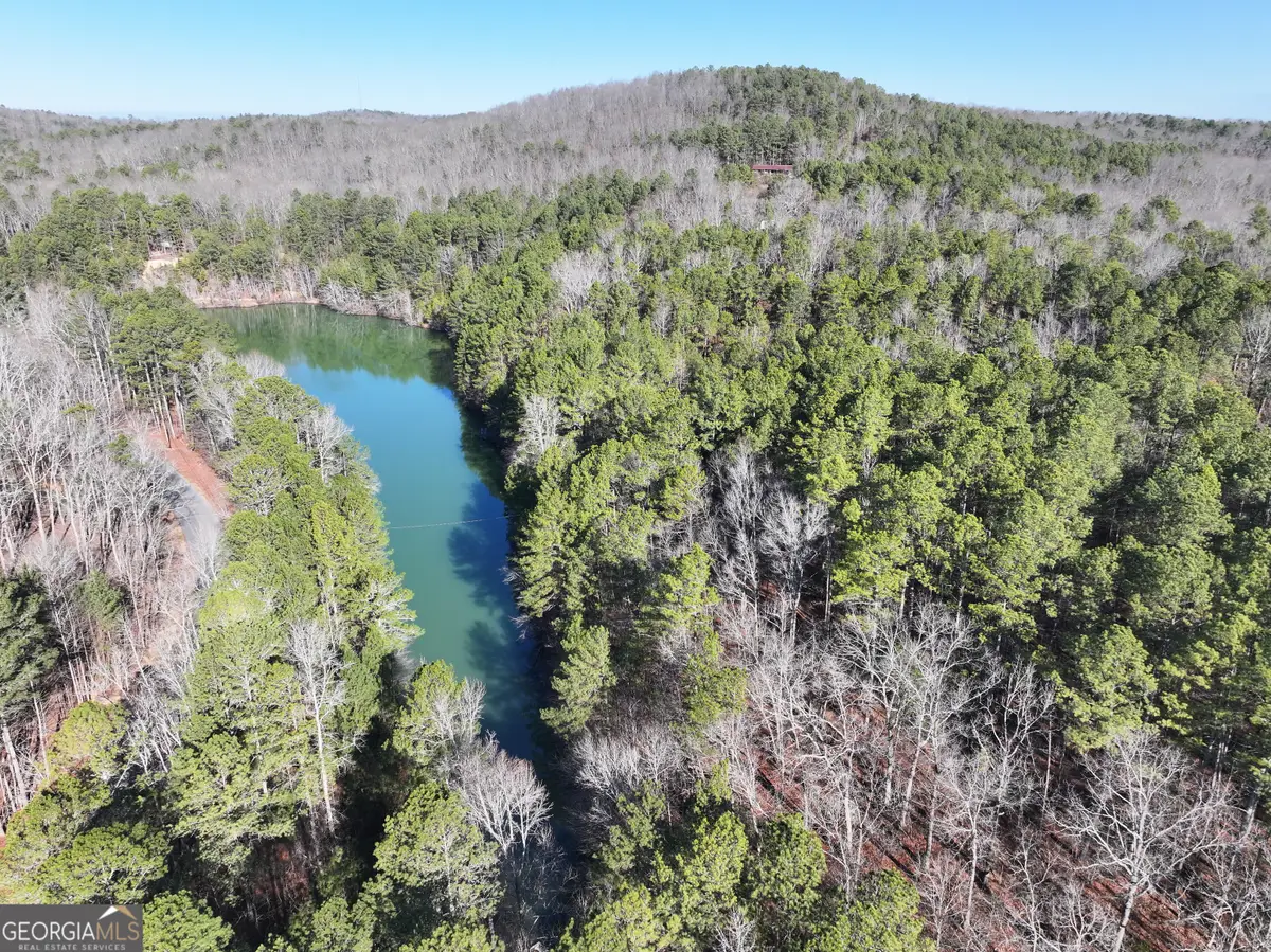 15 +/- Acres On E. Hermitage Road, Kingston, GA 30145 - Image #1