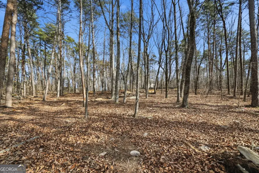 0 Mulberry Circle, Jasper, GA 30143 - Image #3