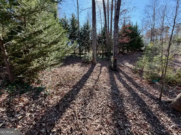 485 Imperial Drive, Martin, GA 30557