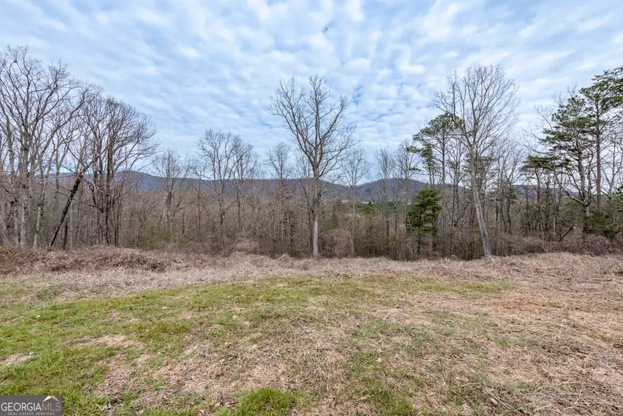 TBD Cowart Mountain Tract 2 Road, Jasper, GA 30143 - Image #2