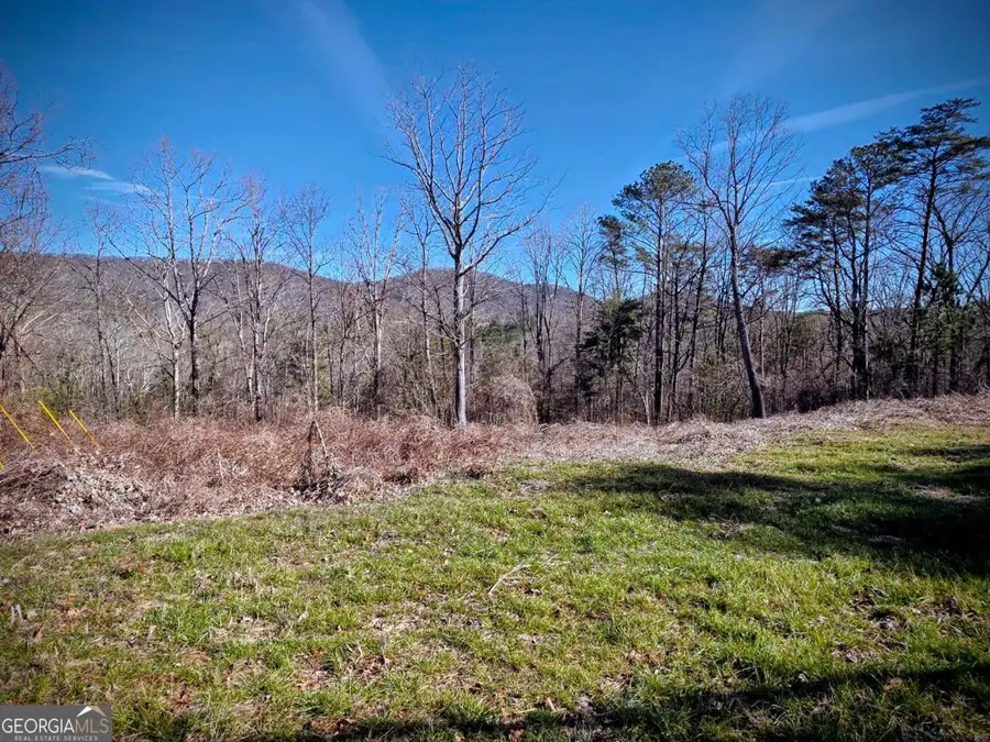 TBD Cowart Mountain Tract 2 Road, Jasper, GA 30143 - Image #3