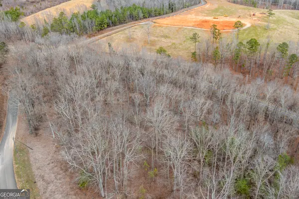 TBD Cowart Mountain Tract 3 Road, Jasper, GA 30143