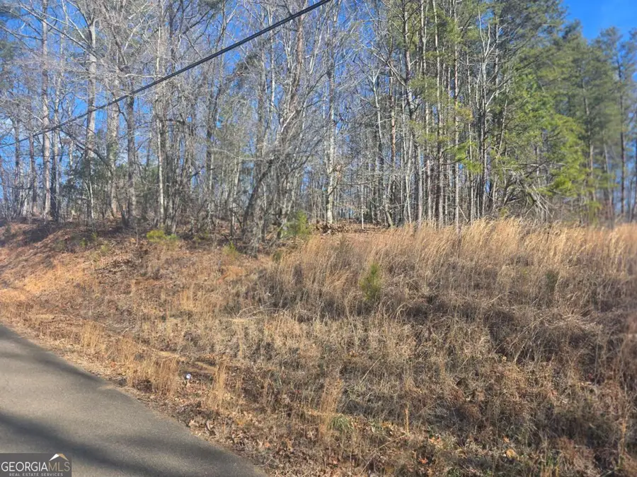 TBD Cowart Mountain Tract 3 Road, Jasper, GA 30143 - Image #3