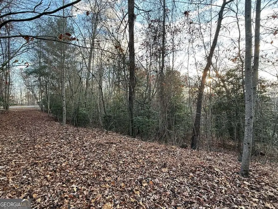 28/32 Stuart Ridge Road, Mineral Bluff, GA 30559 - Image #2