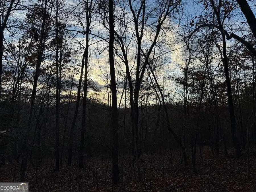 28/32 Stuart Ridge Road, Mineral Bluff, GA 30559 - Image #3