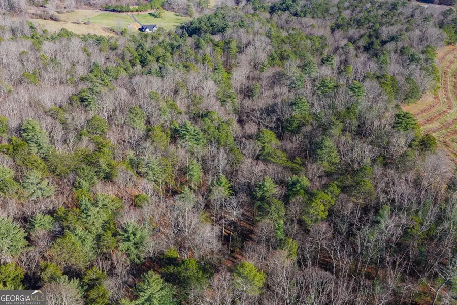 36.8 AC Pleasant Oak Trail #3 & 4, Ellijay, GA 30540 - Image #3