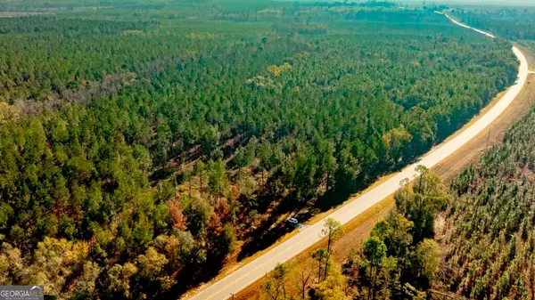 0 S Highway 19 & Warm Spring Road, Glenwood, GA 30428