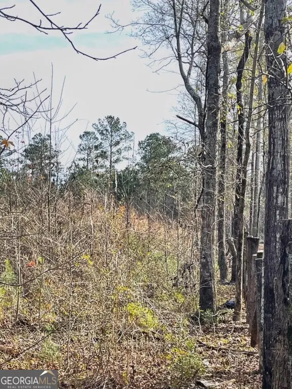 0 Zebulon Road, Milner, GA 30257 - Image #1