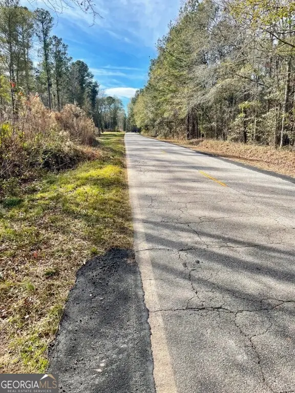 0 Zebulon Road, Milner, GA 30257 - Image #2