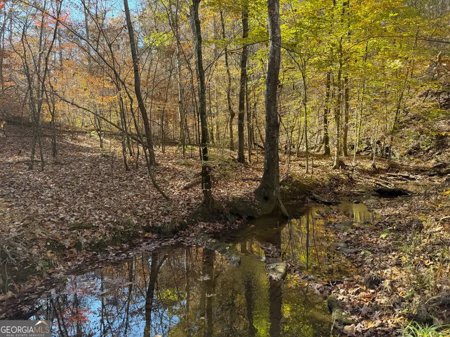 286 Carnes Road Sw, Cartersville, GA 30120 - Image #3