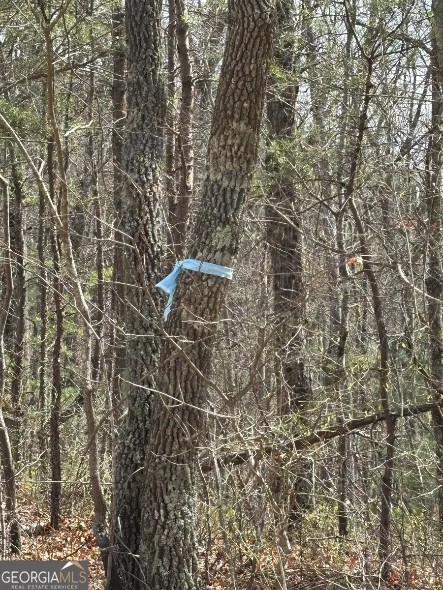 0 Laurel Branch, Dawsonville, GA 30534 - Image #3