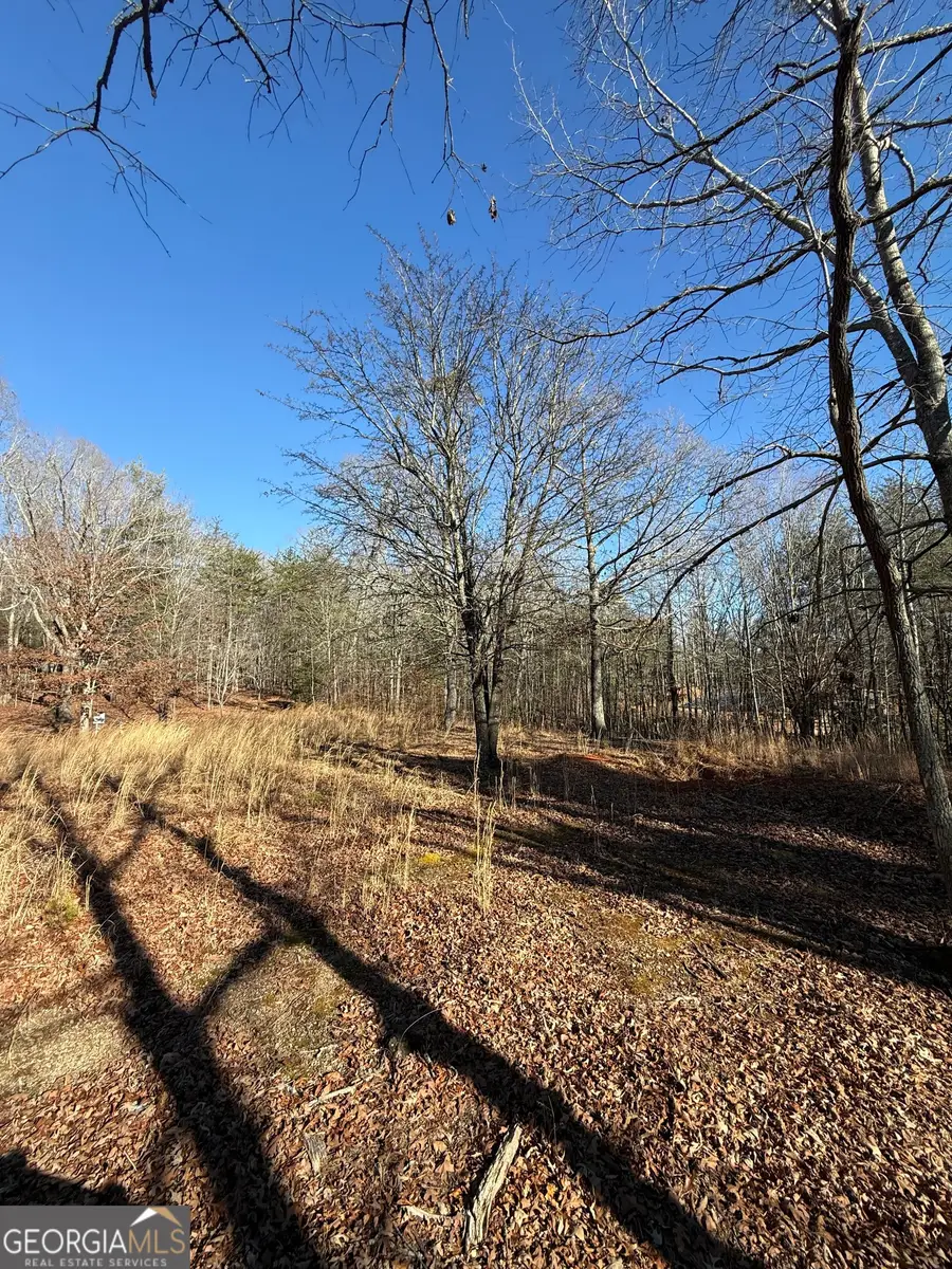 196 Mount Pleasant Church Road, Cleveland, GA 30528 - Image #2