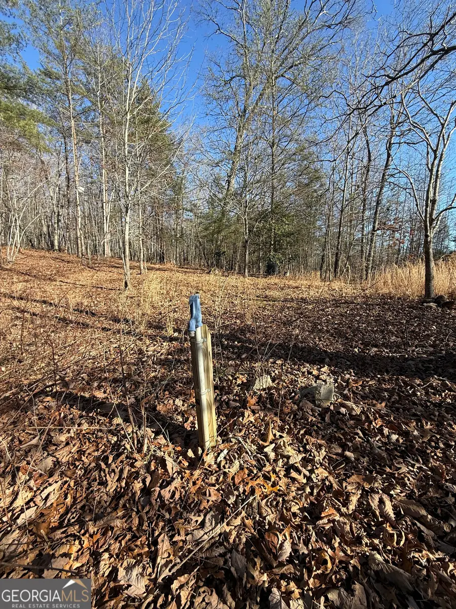 196 Mount Pleasant Church Road, Cleveland, GA 30528 - Image #3