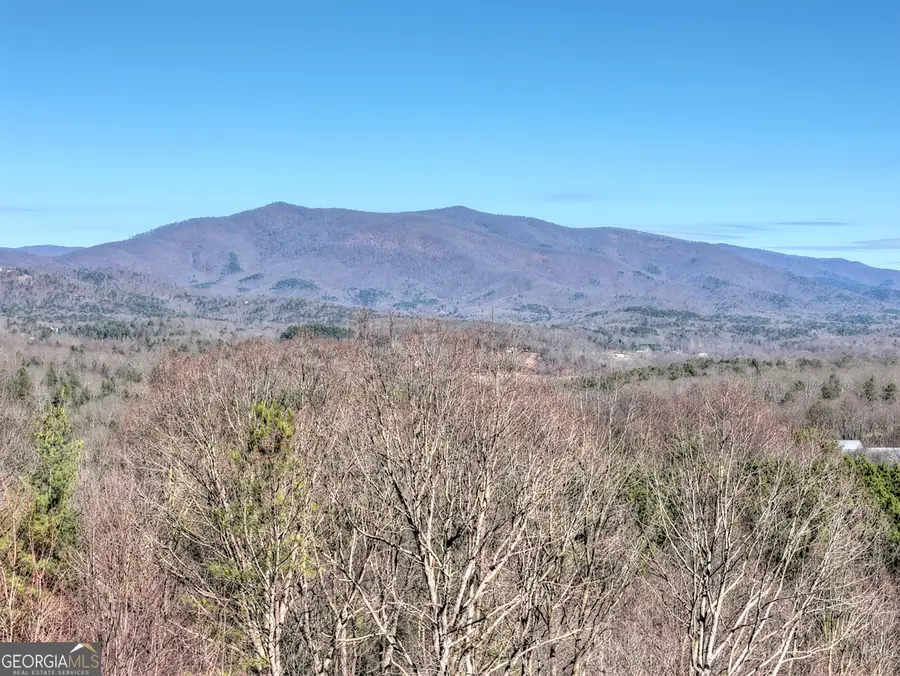 100 Foxpaw Leaf Court, Ellijay, GA 30536 - Image #2