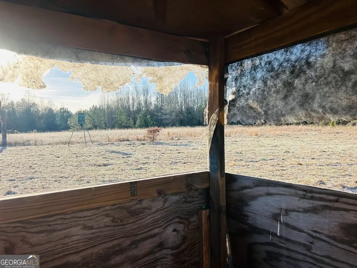 0 Bickley Road #TRACT A, Butler, GA 31006 - Image #1