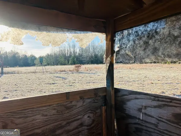 0 Bickley Road #TRACT A, Butler, GA 31006